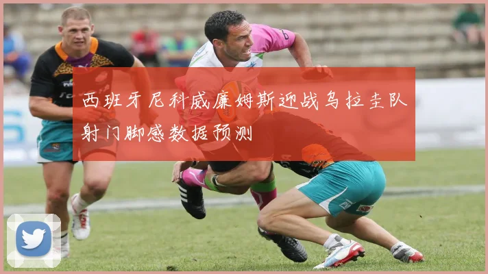西班牙尼科威廉姆斯迎战乌拉圭队射门脚感数据预测
