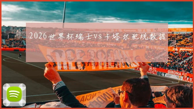 2026世界杯瑞士vs卡塔尔犯规数据