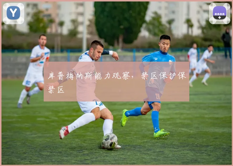 库普梅纳斯能力观察，禁区保护保禁区