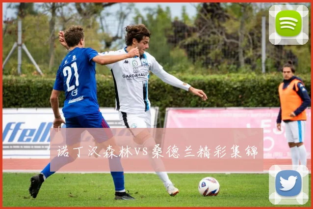 诺丁汉森林vs桑德兰精彩集锦
