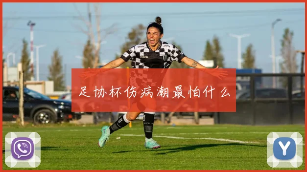 足协杯伤病潮最怕什么
